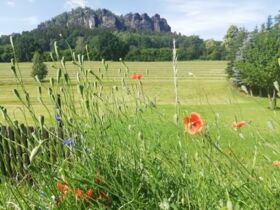 Blick vom Garten auf den Pfaffenstein